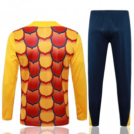 Sudadera De Entrenamiento Barcelona 2024/2025 Niño Kit Amarillo/Rojo