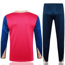 Sudadera De Entrenamiento Barcelona 2024/2025 Niño Kit Rojo/Azul/Dorado