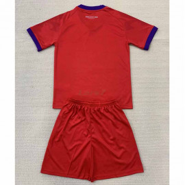 Camiseta Fiorentina 3ª Equipación 2024/2025 Niño Kit
