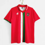 Camiseta Gales 1ª Equipación Retro 1996
