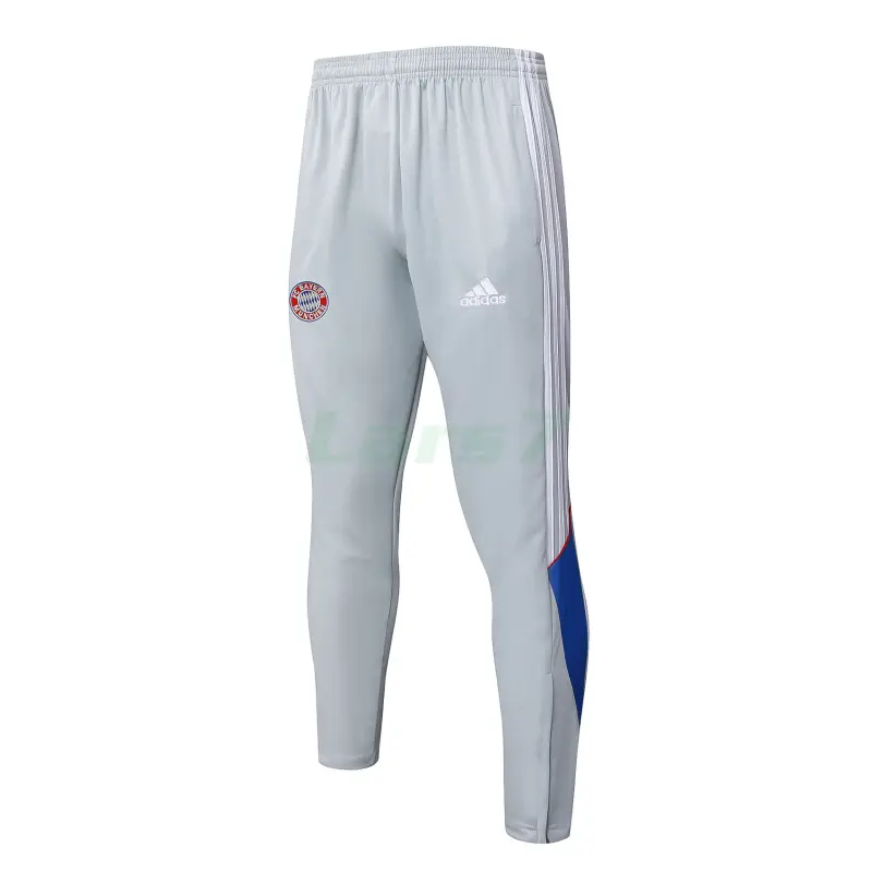 Sudadera De Entrenamiento Bayern Múnich 2025/2026 Retro Gris Claro/Azul