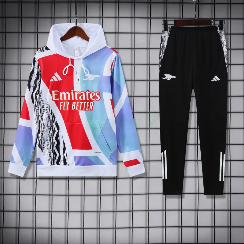 Sudadera de Entrenamiento Arsenal 2025/2026 con Capucha Kit Multicolor