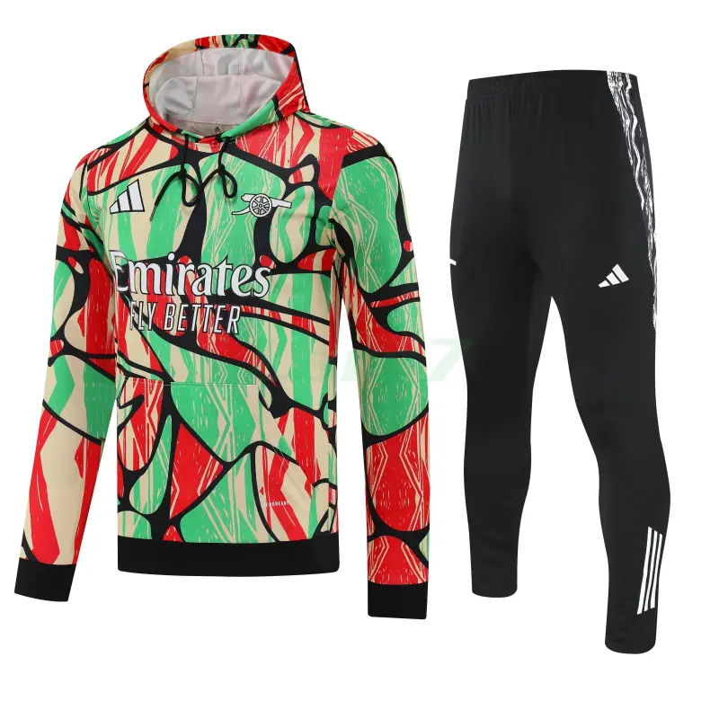 Sudadera de Entrenamiento Arsenal 2025/2026 con Capucha Kit Multicolor con Estampado