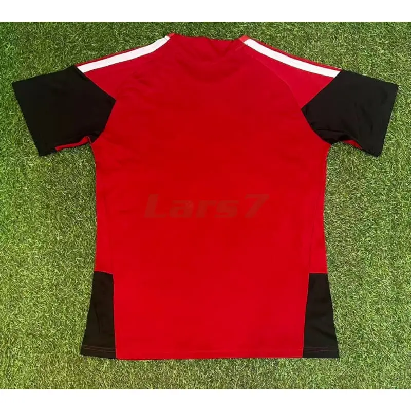 Camiseta de Entrenamiento Alemania 2026 Rojo