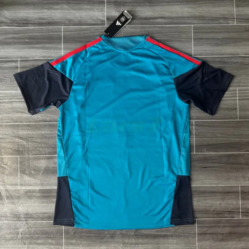 Camiseta de Entrenamiento España 2026 Azul Real