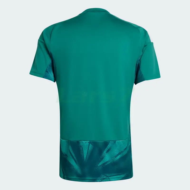 Camiseta de Portero Alemania 1ª Equipación Mundial 2026 Verde