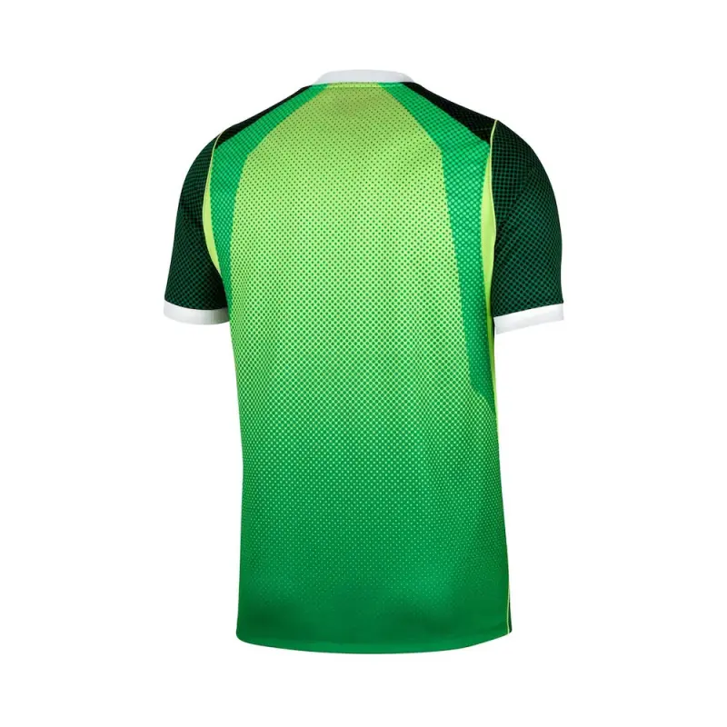 Camiseta Nigeria 1ª Equipación Mundial 2026 Verde