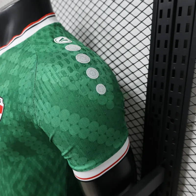 Camiseta Irak 2ª Equipación Mundial 2026 Verde (EDICIÓN JUGADOR)