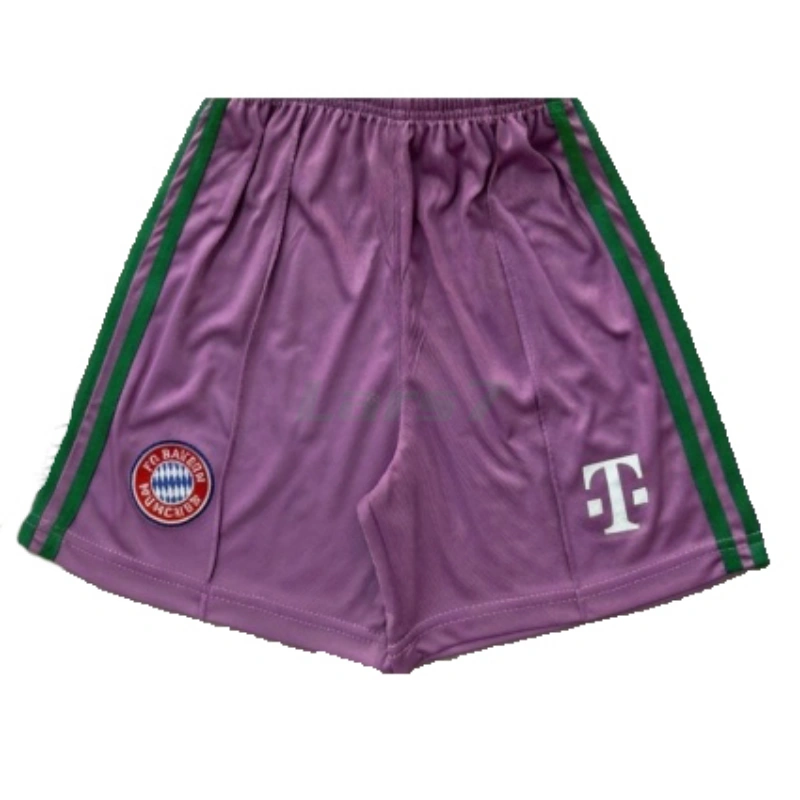 Camiseta de Portero Bayern Múnich 2ª Equipación 2026/2027 Morado