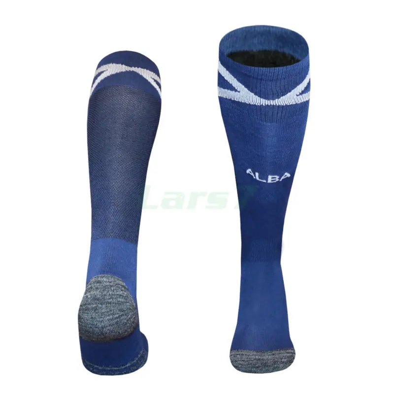 Camiseta Escocia 1ª Equipación Mundial 2026 Azul
